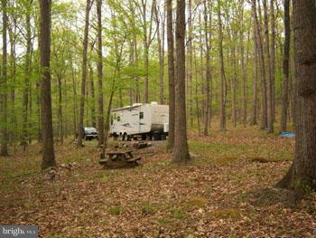 ROUSE MOUNTAIN - Land