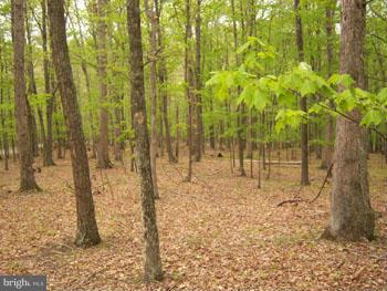 ROUSE MOUNTAIN - Land