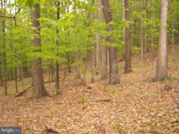 ROUSE MOUNTAIN - Land