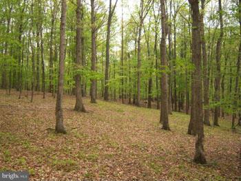 ROUSE MOUNTAIN - Land