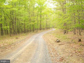 ROUSE MOUNTAIN - Land