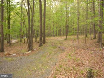 ROUSE MOUNTAIN - Land