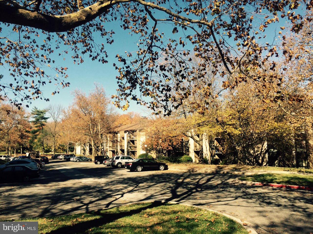 TREOVER - Residential