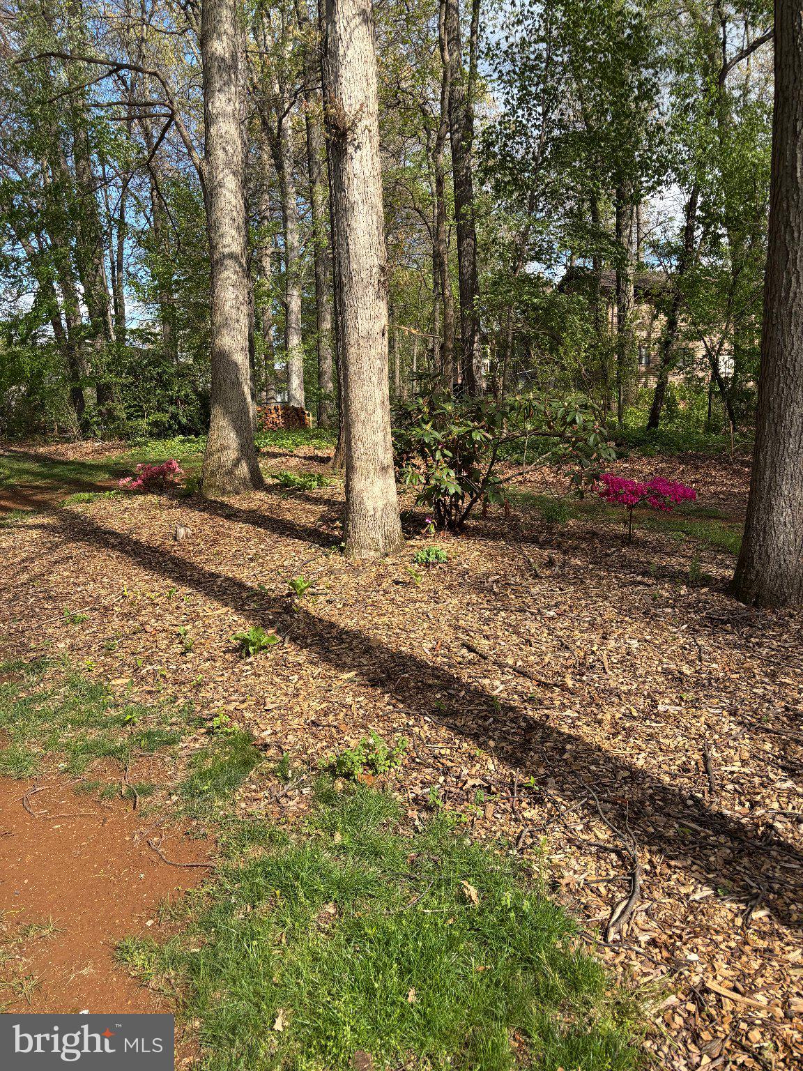 PENN NATIONAL - Residential