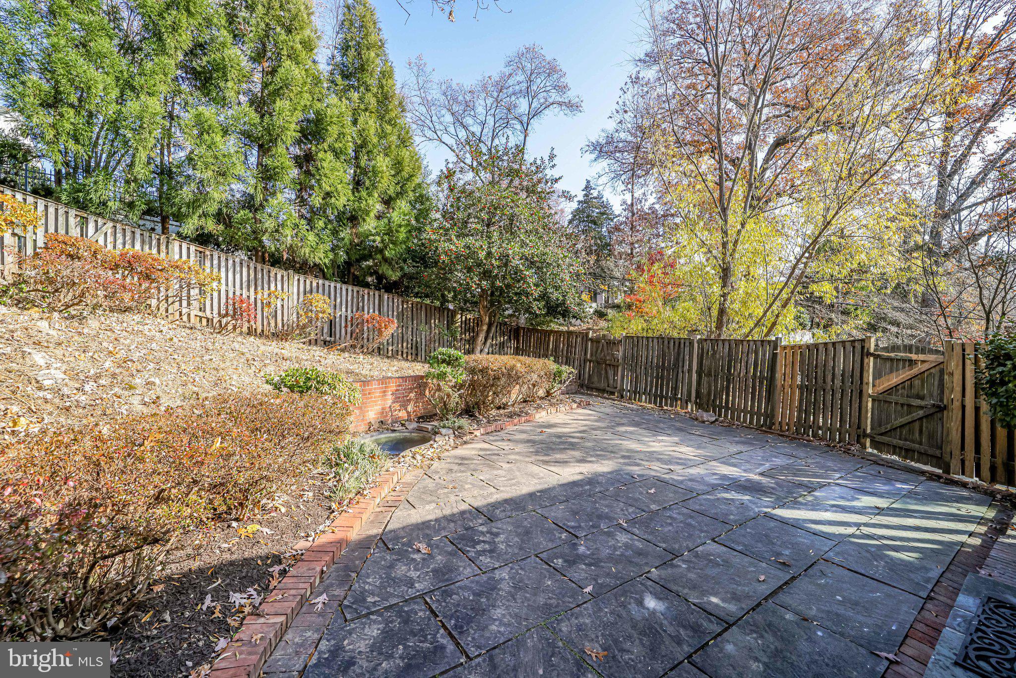 BELLEVUE FOREST - Residential Lease