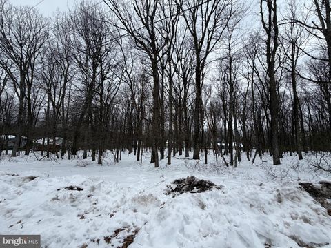 Vacant Land For Sale - 64 Jay Peak Lane<br/> ZION GROVE, PA 17985