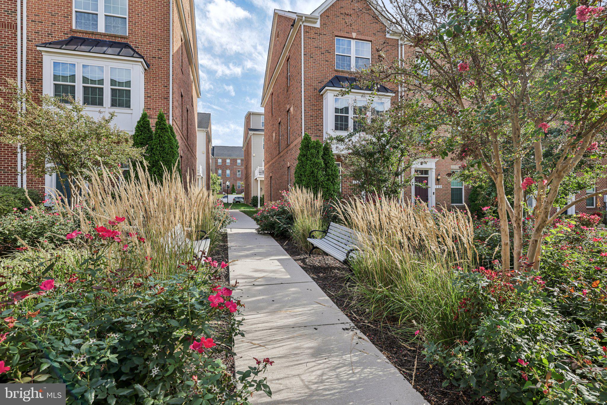 O'DONNELL SQUARE - Residential
