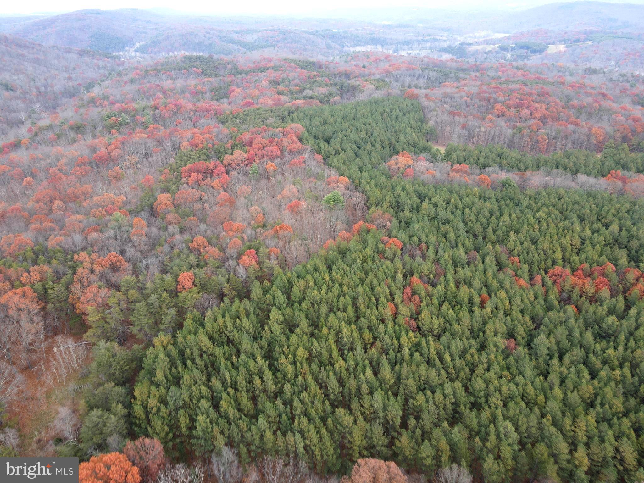 CALL NOW TO VIEW THIS 373 UNRESTRICTED WOODED AND OPEN ACRES WITH 3 BEDROOM SINGLEWIDE MANUFACTURED HOME WHICH IS CURRENTLY USED AS A RENTAL PROPERTY OR COULD BE USED AS A HUNTING RETREAT. THIS PROPERTY OFFERS SEVERAL PIME BUILDING SITES IF YOU ARE WANTING TO BUILD A MOUNTAIN HOME OR PRIVATE CABIN. THERE ARE 2 PONDS ON THE PROPERTY IF YOU WANT TO HAVE SOME FARM ANIMALS AND SEVERAL BUILDING AND SHEDS TO STORE YOUR EQUIPMENT AND ATV'S. PRIVATE ROADS AND TRAILS RUN THROUGH OUT THE PROPERTY FOR ACCESS TO ALL POINTS. LARGE HARD WOOD TREES PROVIDE THE FOOD SOURCE AND 30 PLUS ACRES OF MATURE PLANTED PINES PROVIDE THE SHELTER FOR THE ABUNDANT WILDLIFE IN THE AREA. SEVERAL SMALL FIELDS ON THE PROPERTY GIVES AMPLE SPACE FOR FOOD PLOTS AND OR FARM ANIMALS. THIS PROPERTY IS IN 3 SEPARATE TRACTS AND IS BEING SOLD ALL TOGETHER.