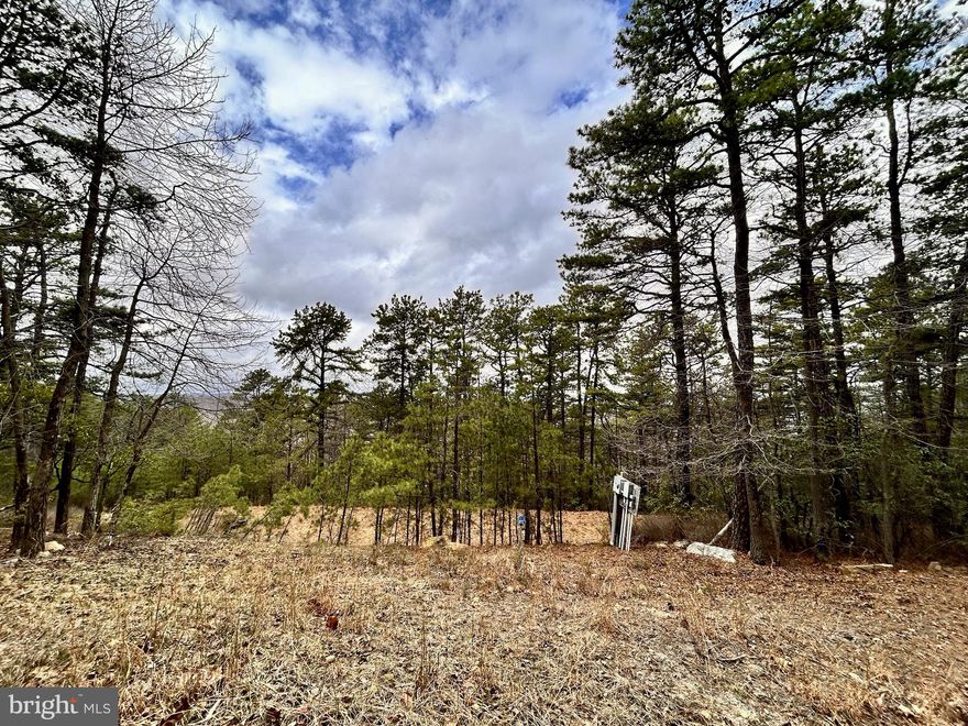 This 20.73-acre parcel in the sought-after River Ridge gated community is ready for you to build your ideal home. With a well, septic system, and buried electric already in place, this land offers convenience and privacy. A driveway is already installed, allowing easy access for you to explore the property and take in the stunning mountain views. With all the essential utilities set up, you’re one step closer to making your dream home a reality. Well and septic documentation are available for your review. Located less than 2 hours from Washington, DC and NOVA and perfectly placed less than 30 minutes from the town of Wardensville where you will find a growing community with lovely new restaurants, coffee shops, and an organic garden market. Don’t miss out— call listing agent to schedule your appointment to see this beautiful property today! *Gated community - drive-by's not permitted must schedule to see with an agent*