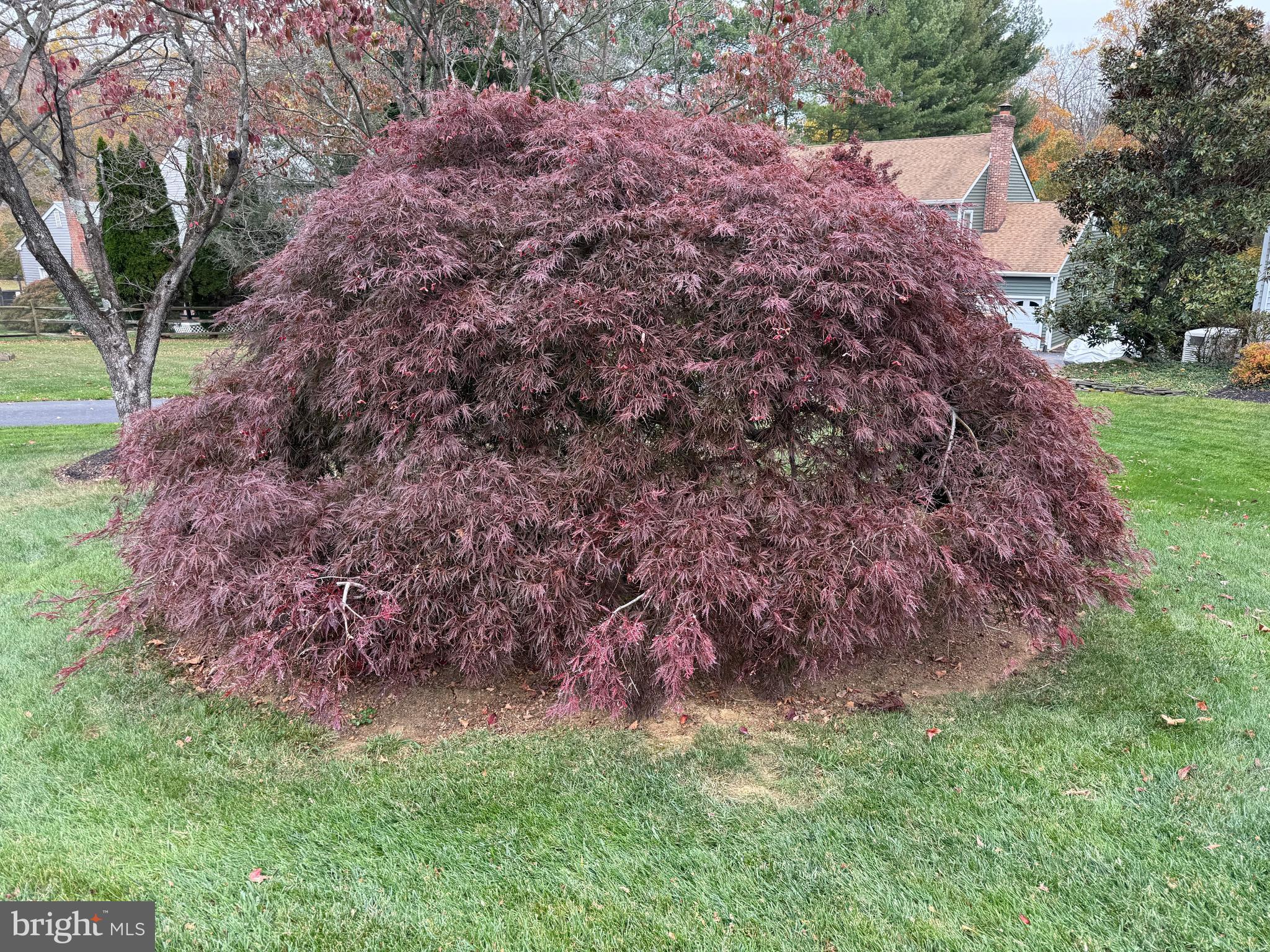 PLUM RUN - Residential