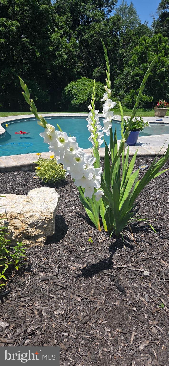 NORRISVILLE - Residential