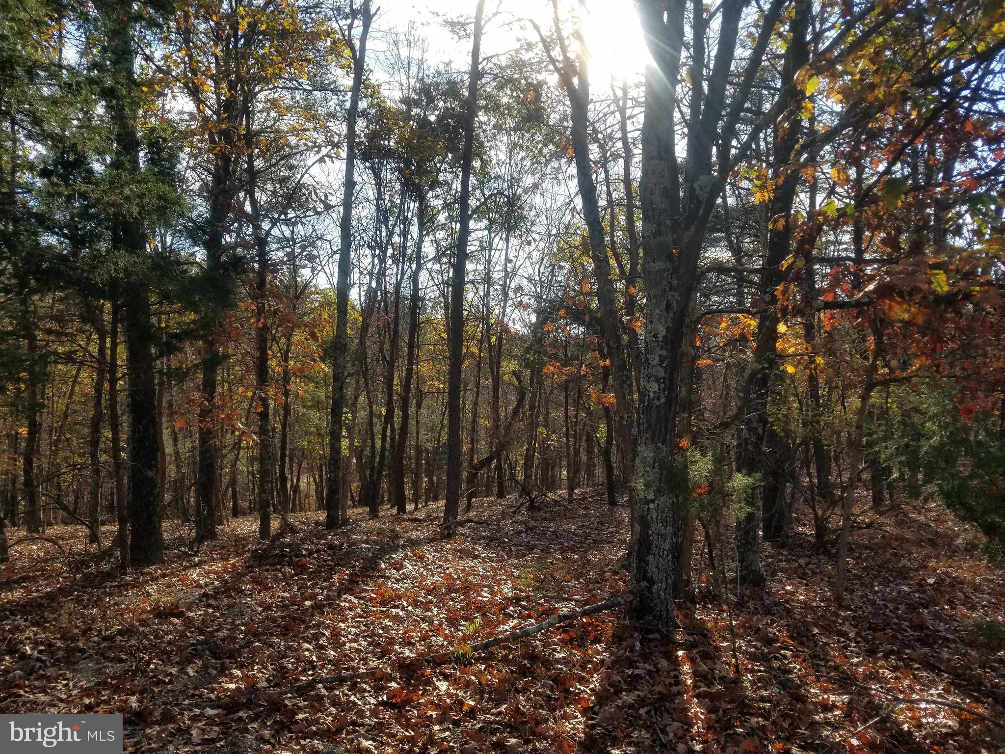 CRYSTAL VALLEY ESTATES - Land