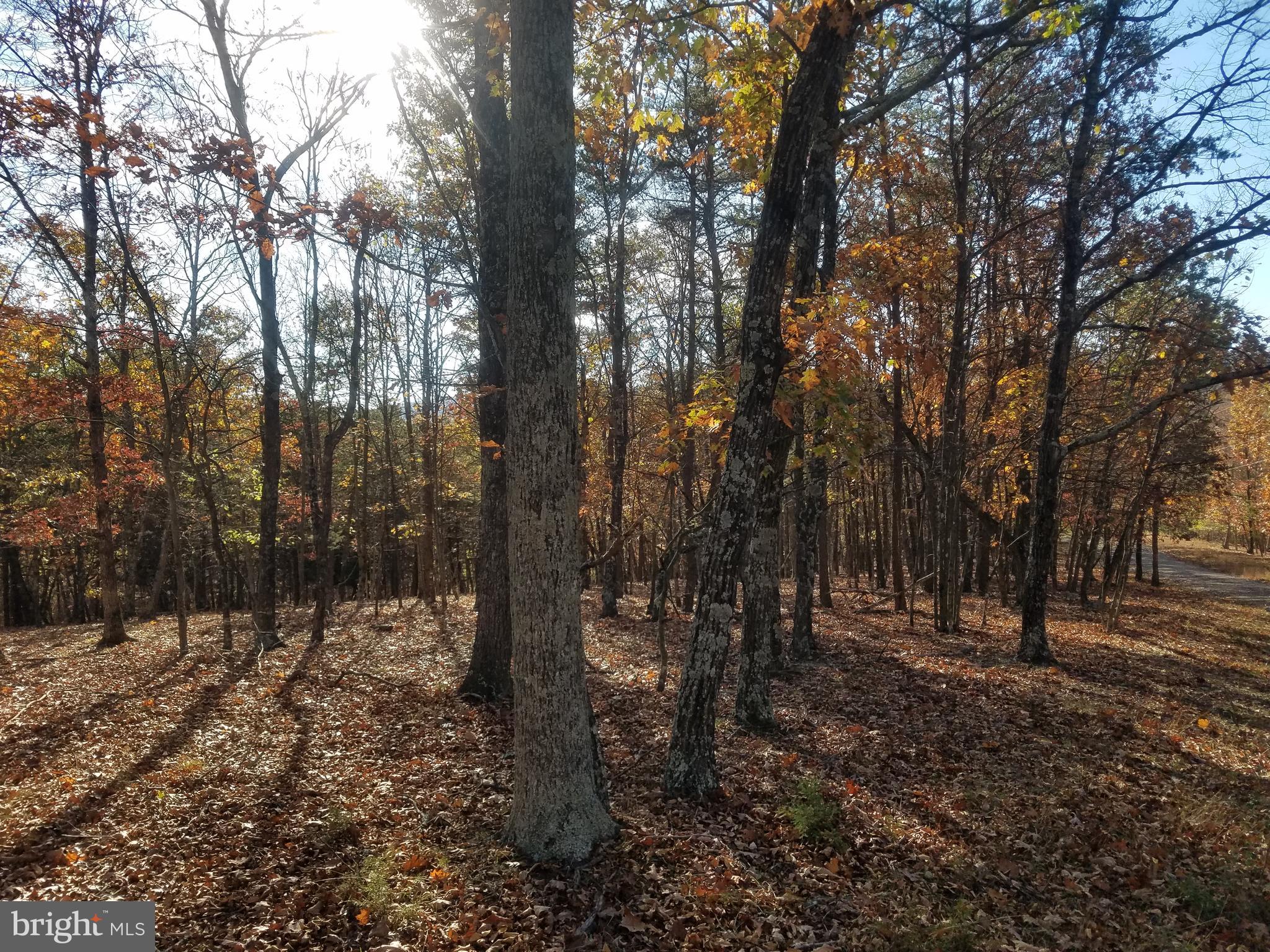 CRYSTAL VALLEY ESTATES - Land