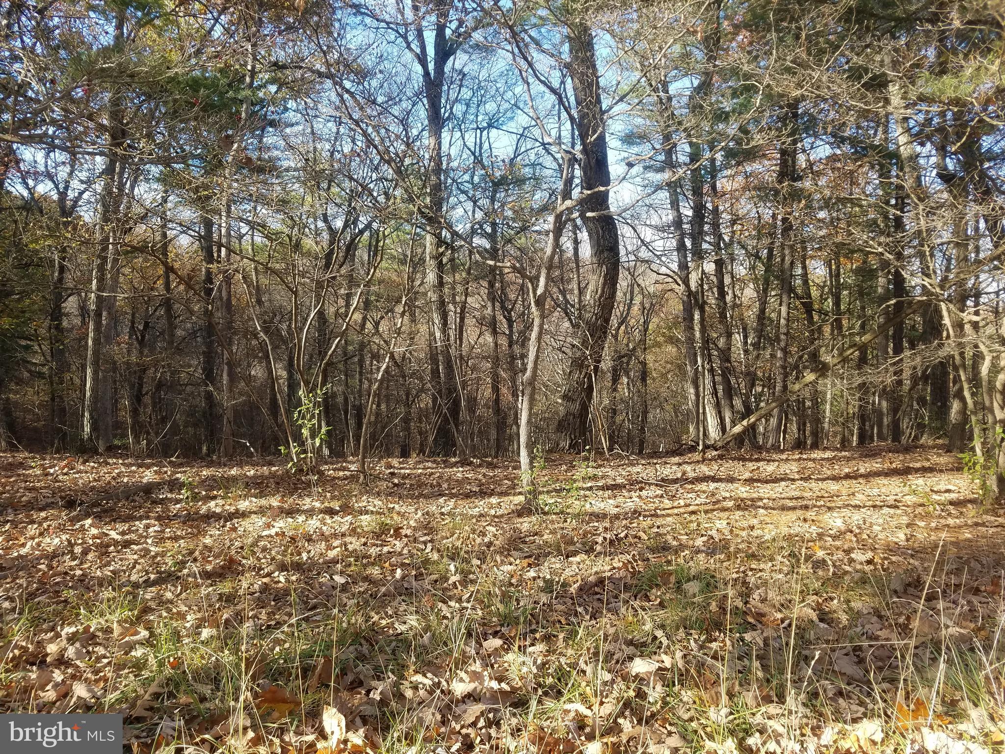 BEAUTIFUL CRYSTAL VALLEY ESTATES! Rurally located in the heart of Hampshire Co. just four miles north of Romney. This "wild life refuge" and older development sits on the east side of what is locally known as Herriots Mountain. A mixture of sloping to gently rolling lots, all wooded with various potential build sites. Well maintained country roads throughout. Only minutes from public access to the South Branch River. Also nearby is Crystal Valley Ranch Restaurant (horse stables and riding trails)...Double lot #75 & 91, 4.6 acres along Crystal Valley Dr....Build that home or getaway cabin!!! Other lots available, see plats and lot list...