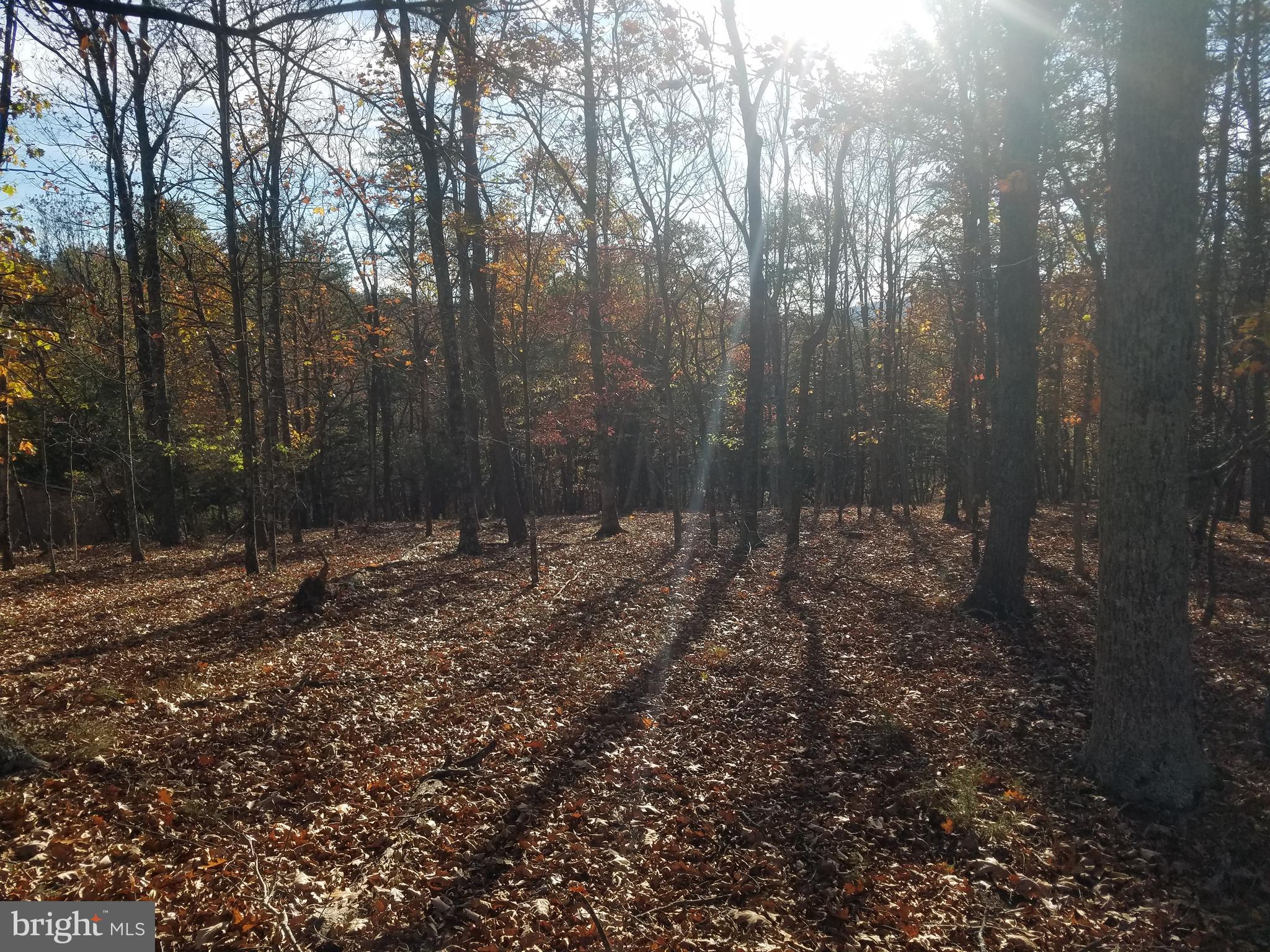 CRYSTAL VALLEY ESTATES - Land