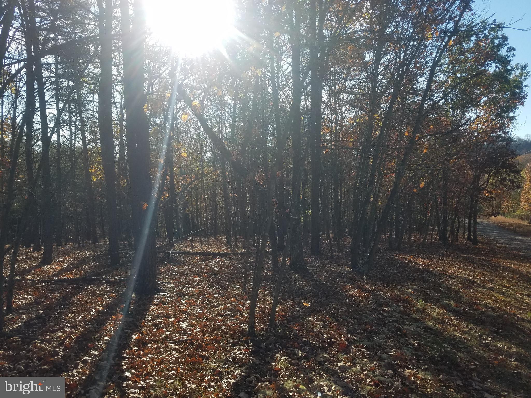 CRYSTAL VALLEY ESTATES - Land