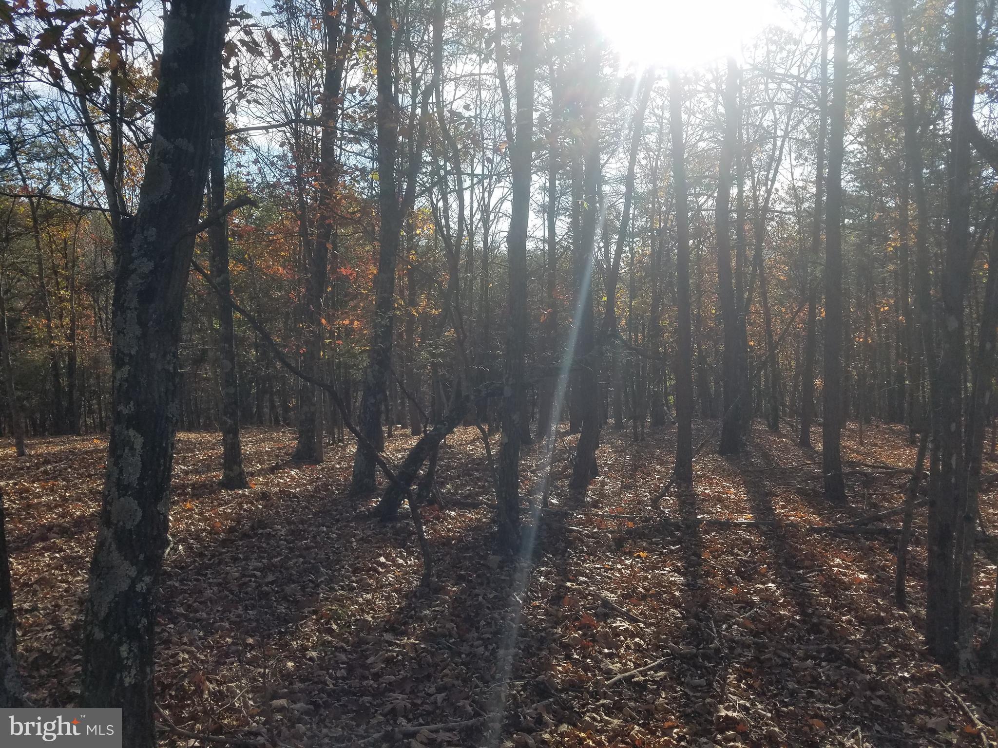 CRYSTAL VALLEY ESTATES - Land