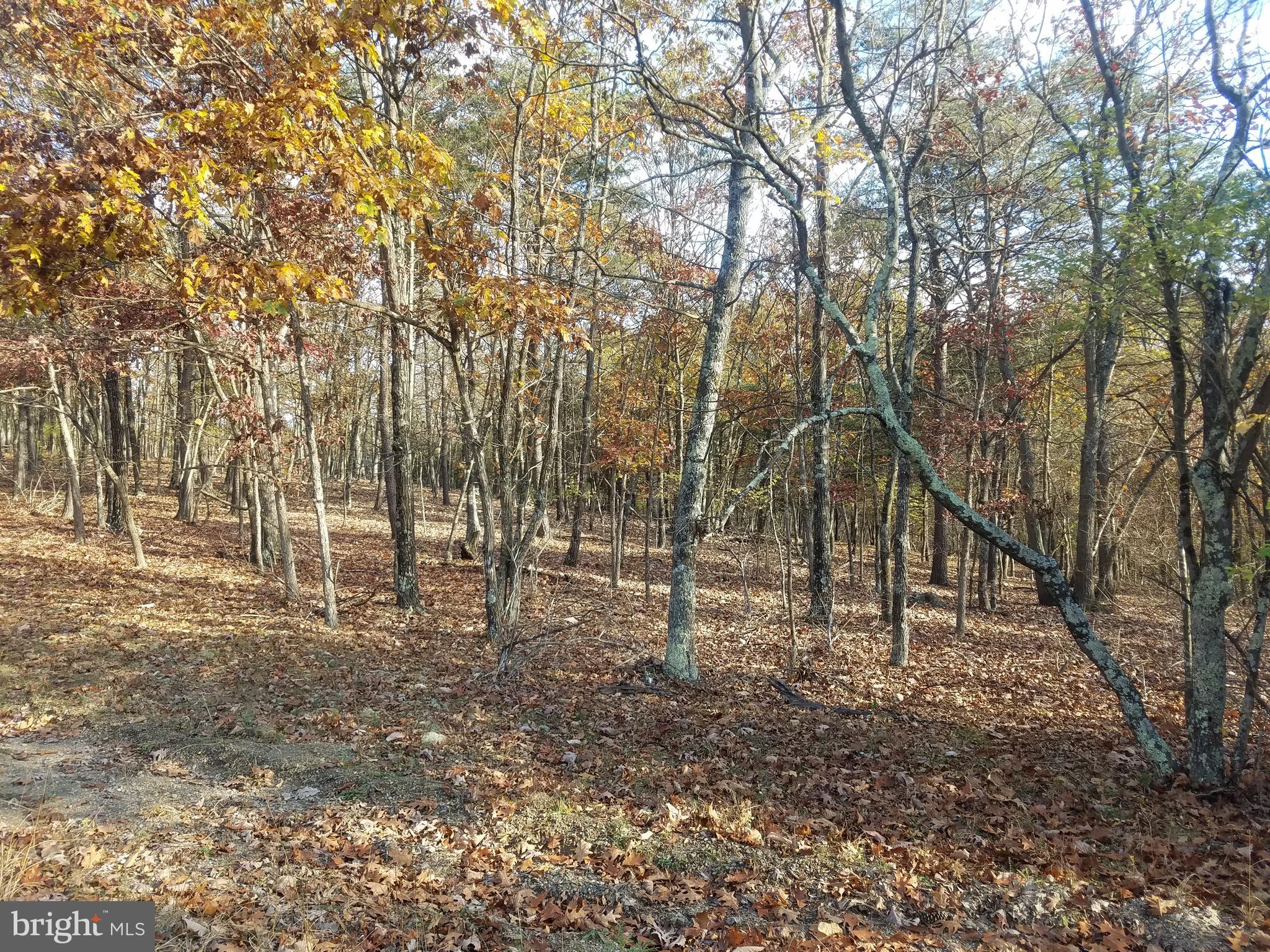 CRYSTAL VALLEY ESTATES - Land