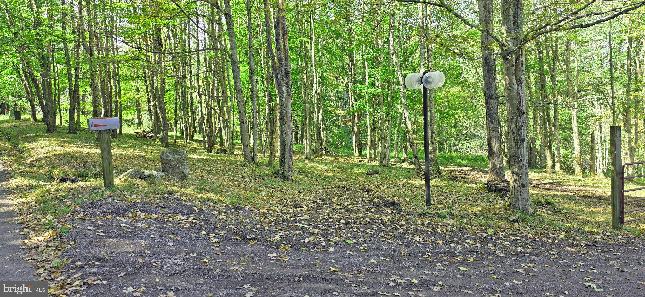 Parcel 100,Lot 1 RABBIT HOLLOW ROAD
