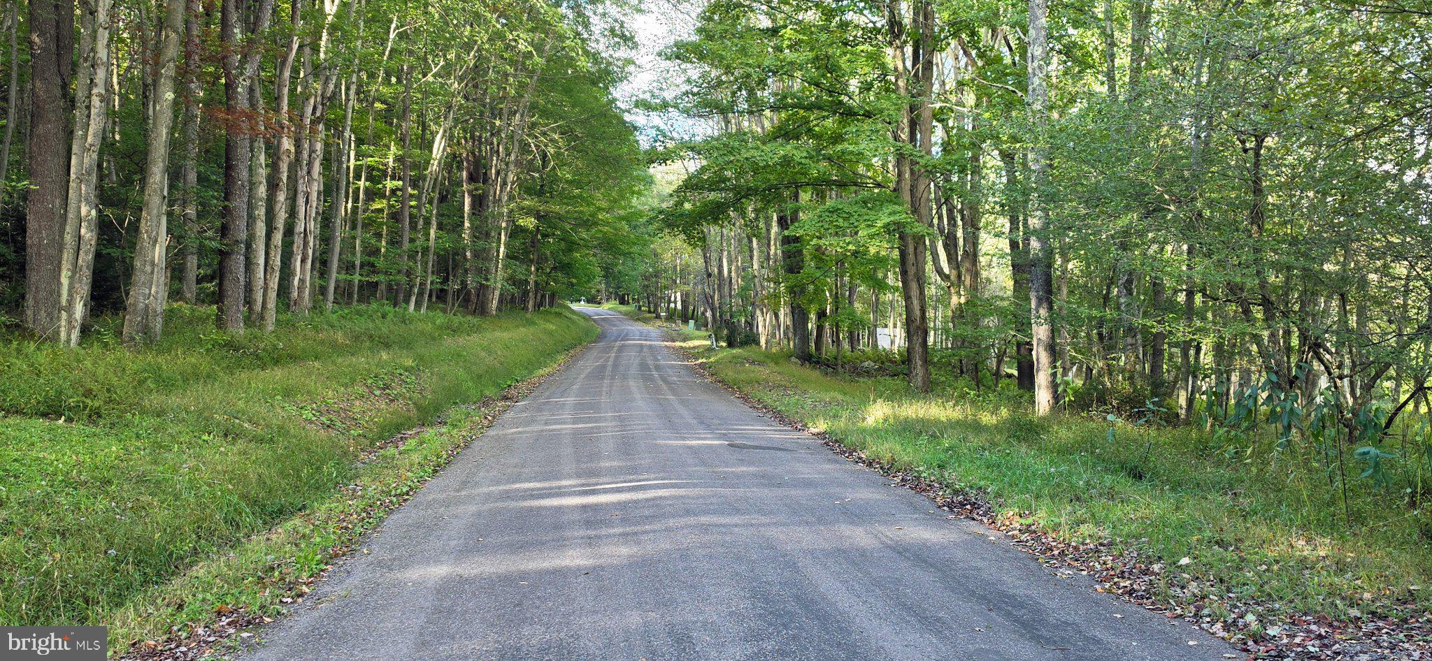 Parcel 100,Lot 1 RABBIT HOLLOW ROAD