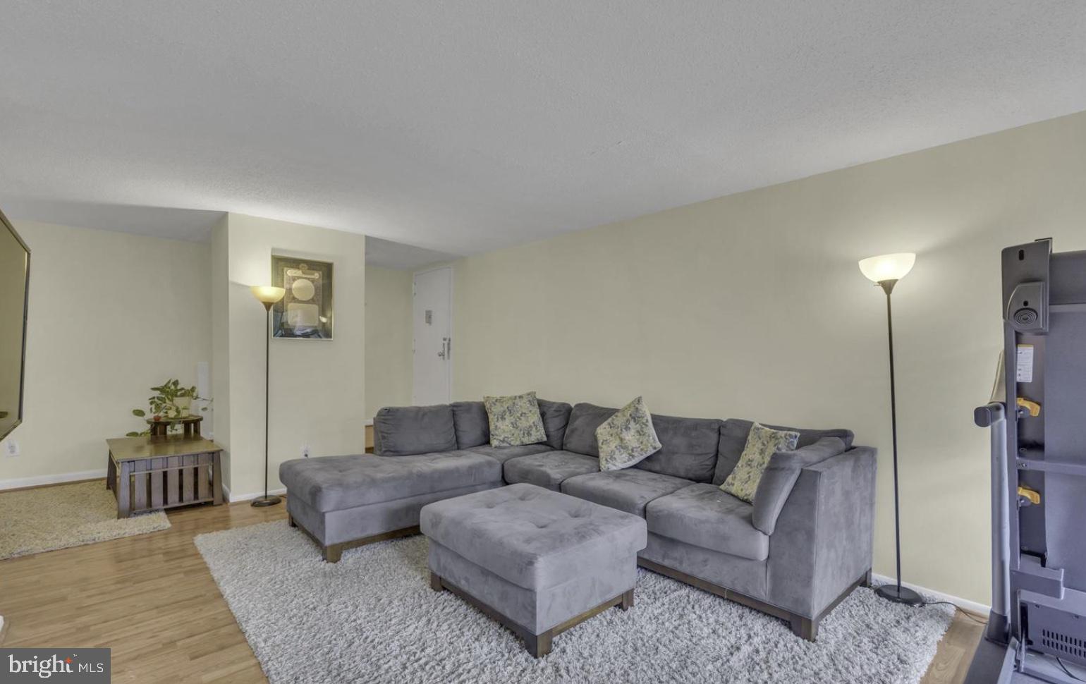 11232 CHESTNUT GROVE SQUARE 335