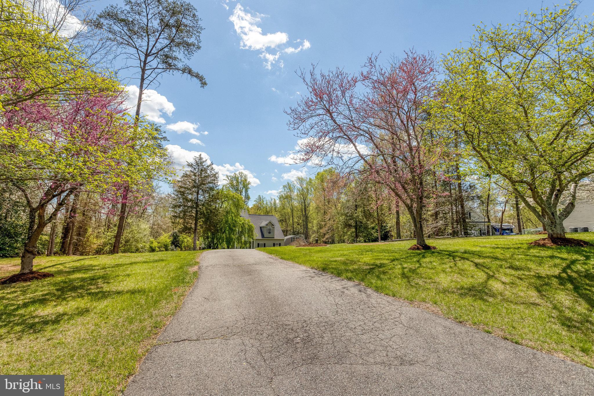 WINDSOR FOREST - Residential