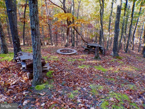Vacant Land For Sale - LOT 29 Deer Ridge Estates<br/> Hampshire County, SPRINGFIELD, WV 26763