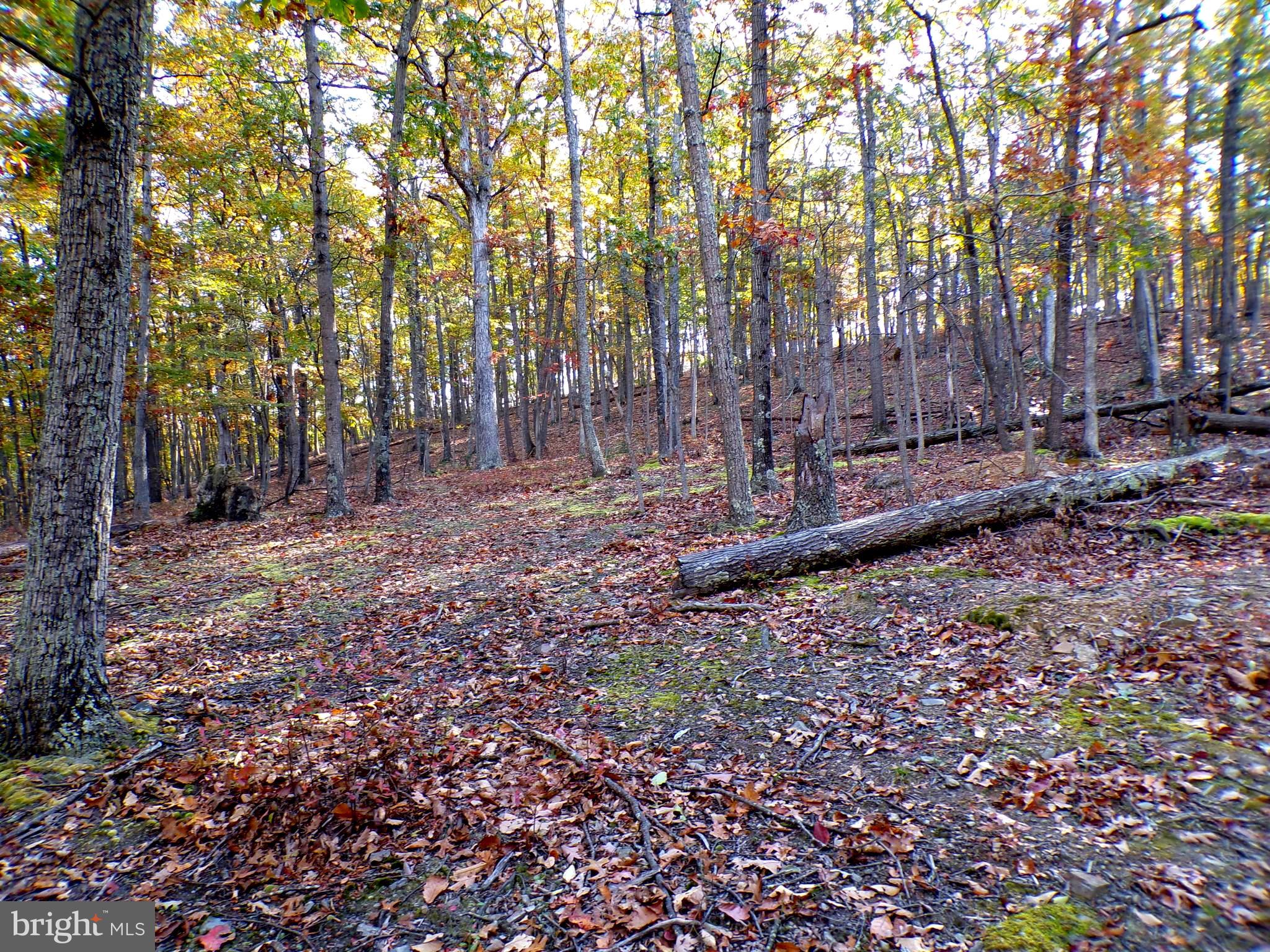 LOT 29 DEER RIDGE ESTATES