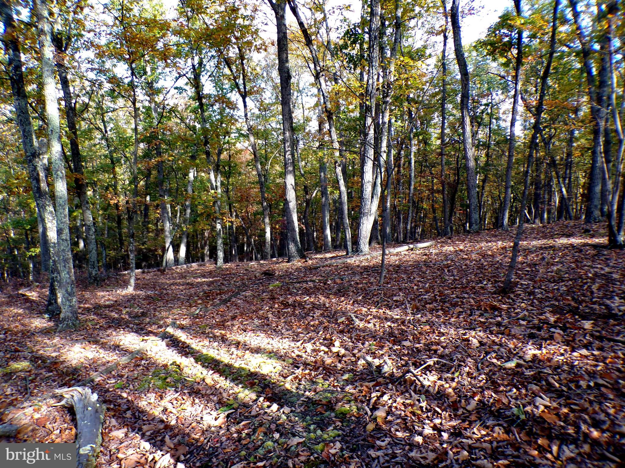 LOT 29 DEER RIDGE ESTATES