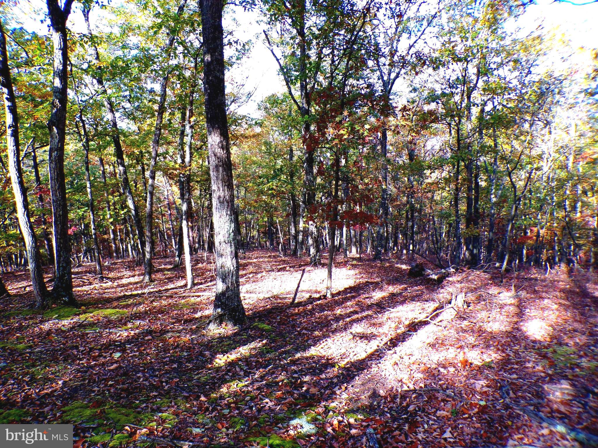 LOT 29 DEER RIDGE ESTATES