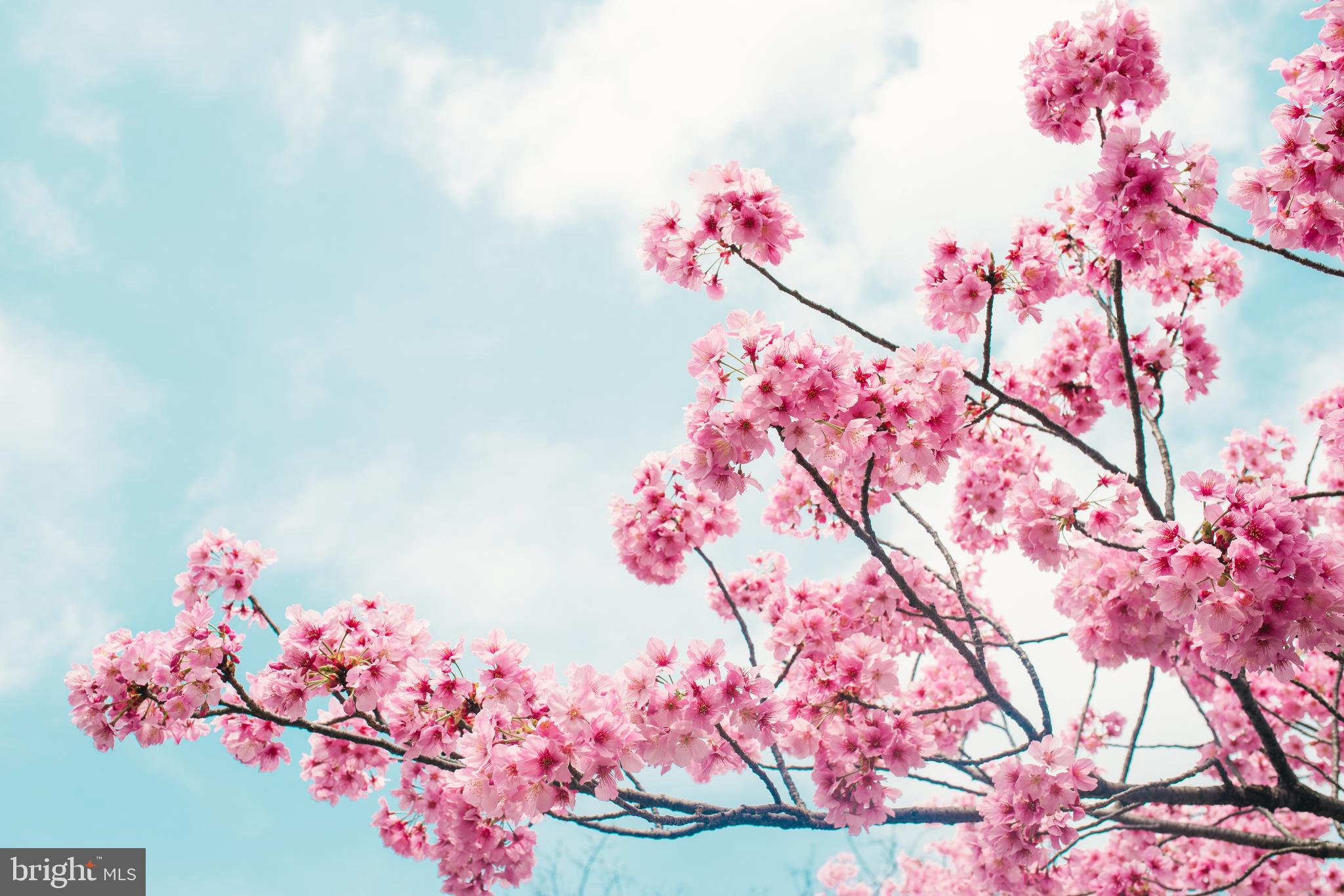 LIBERTY PARK - Residential