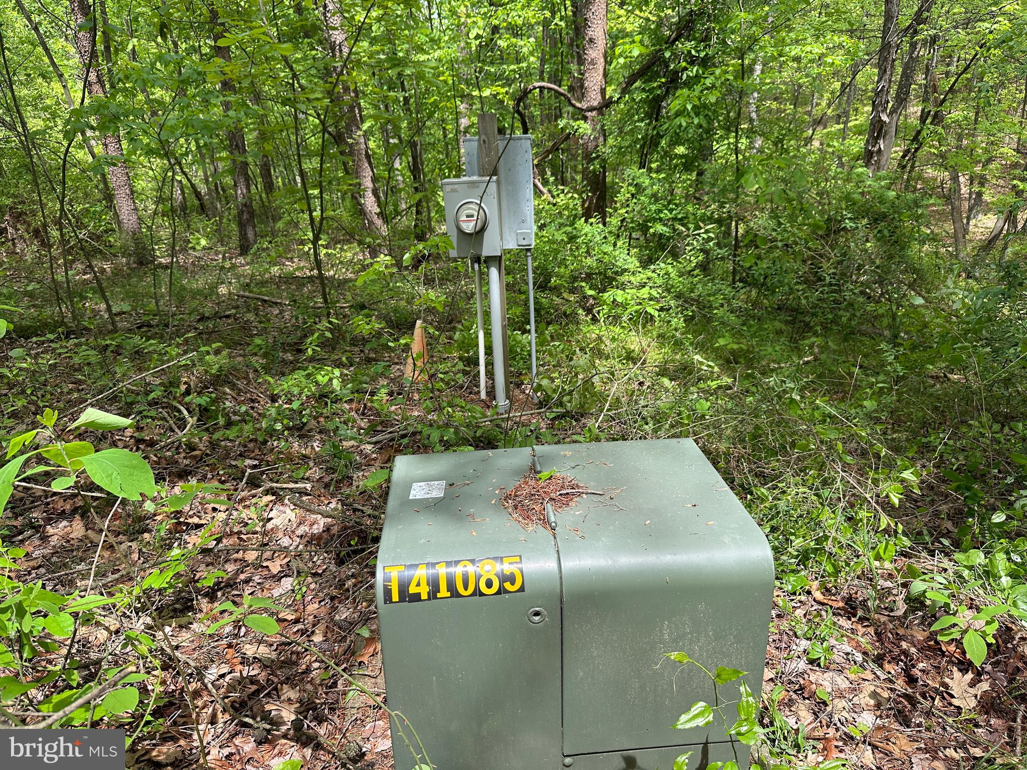 TIMBER TRAILS - Land