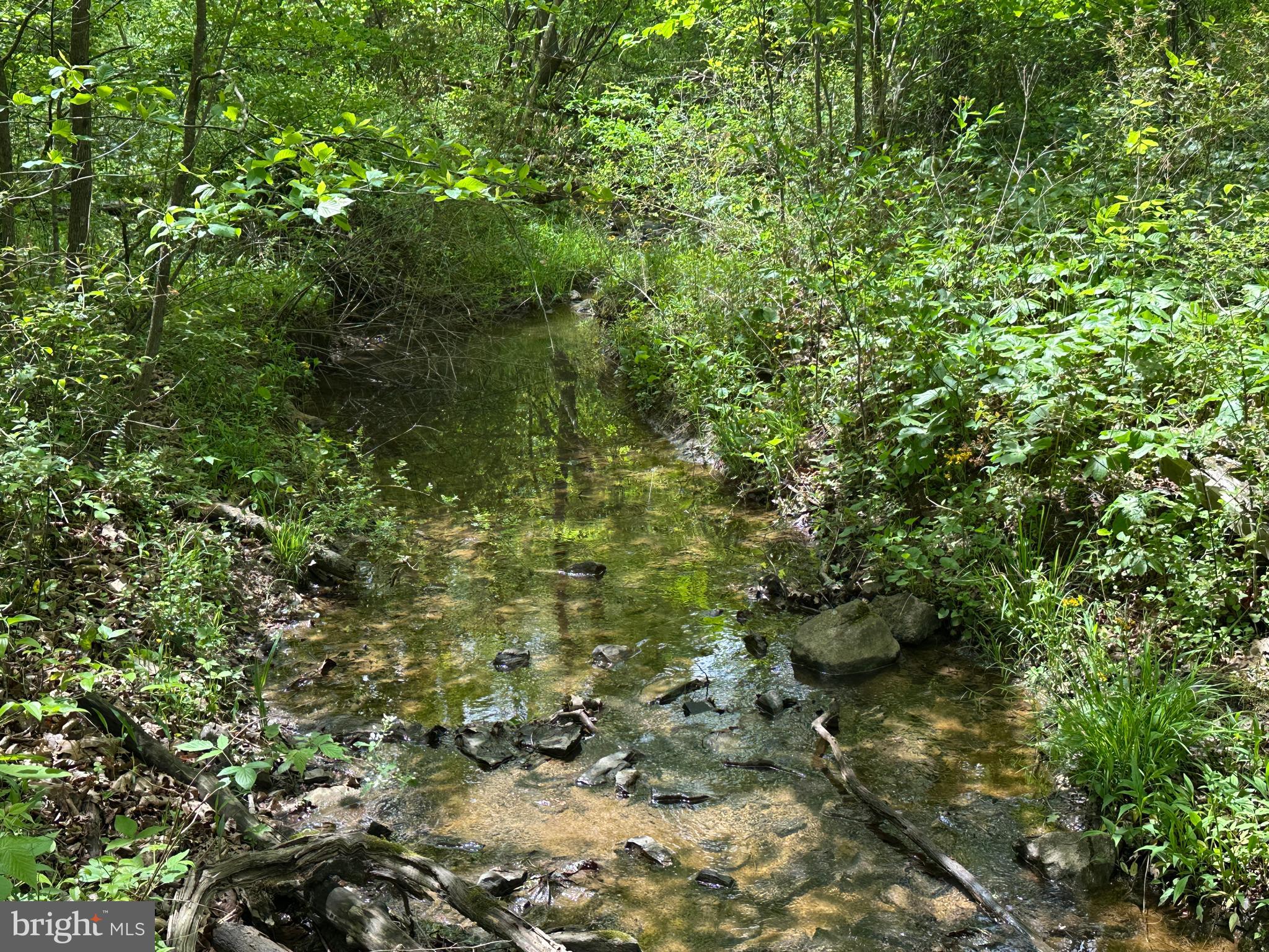 TIMBER TRAILS - Land