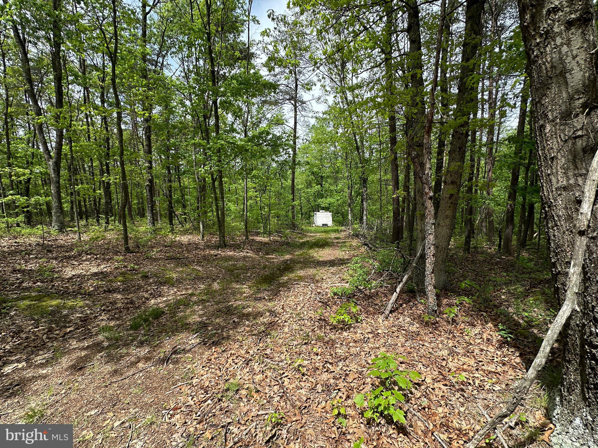 TIMBER TRAILS - Land