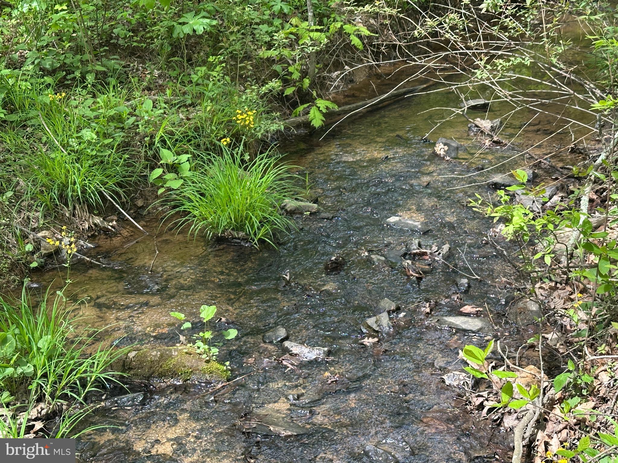 TIMBER TRAILS - Land