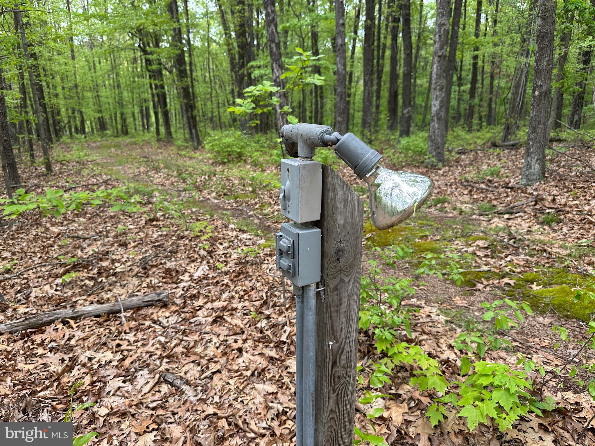 TIMBER TRAILS - Land