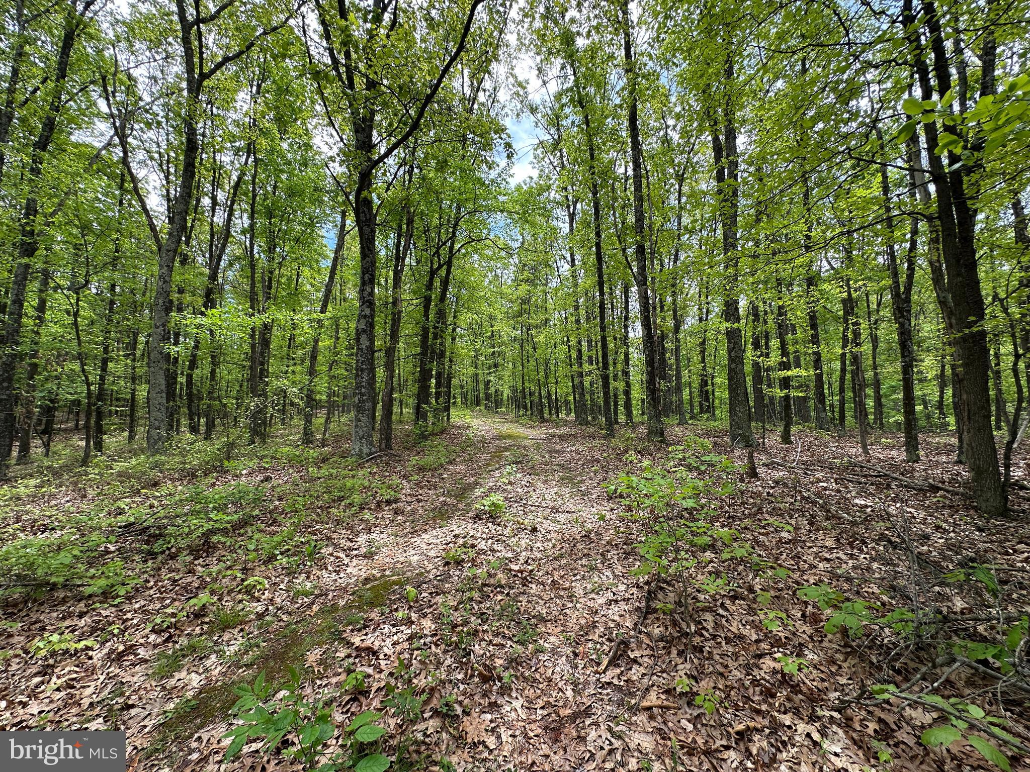 TIMBER TRAILS - Land