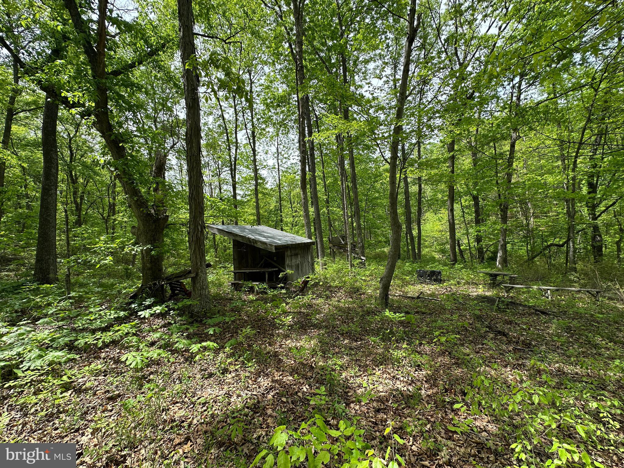 TIMBER TRAILS - Land