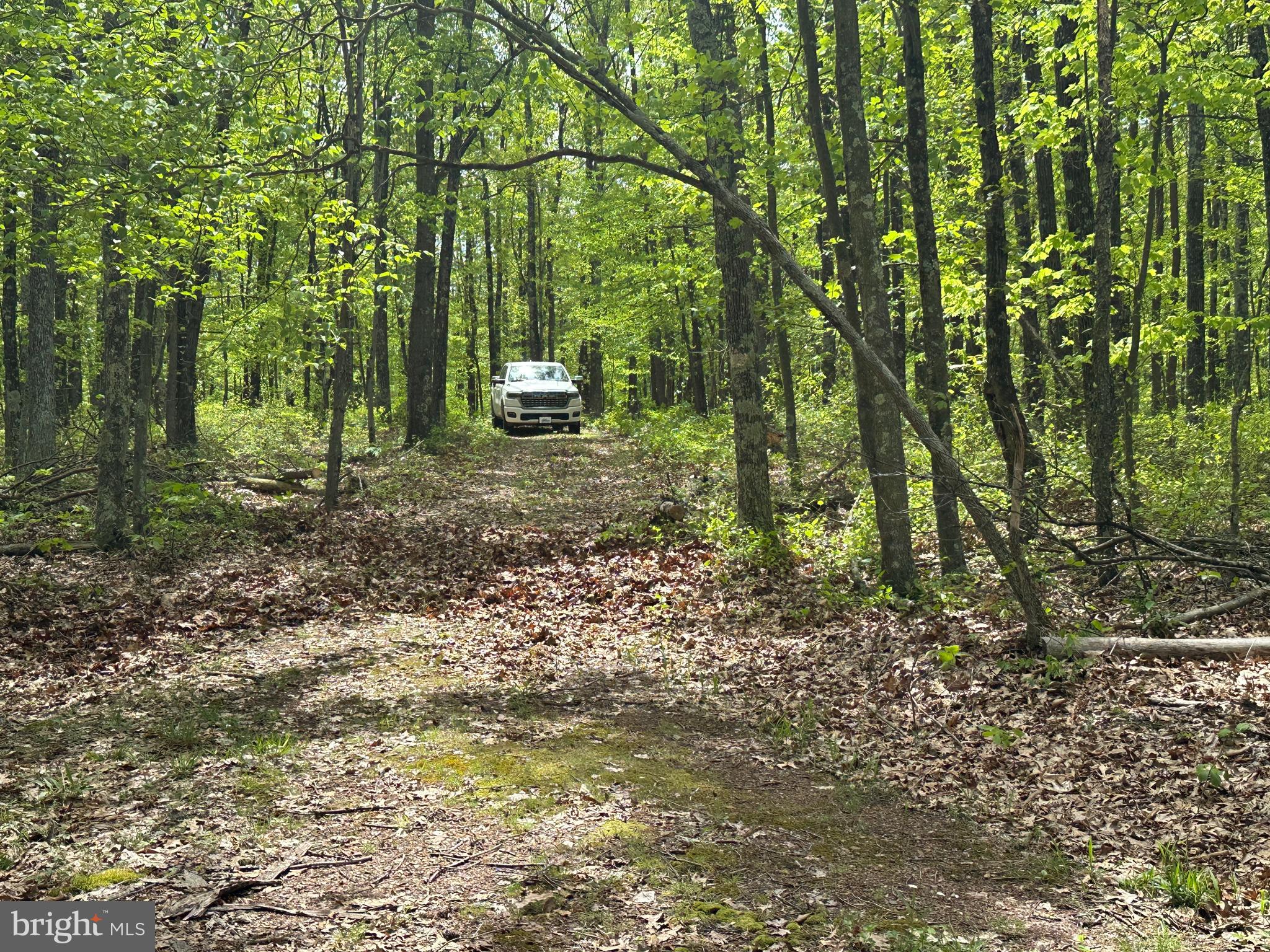 TIMBER TRAILS - Land