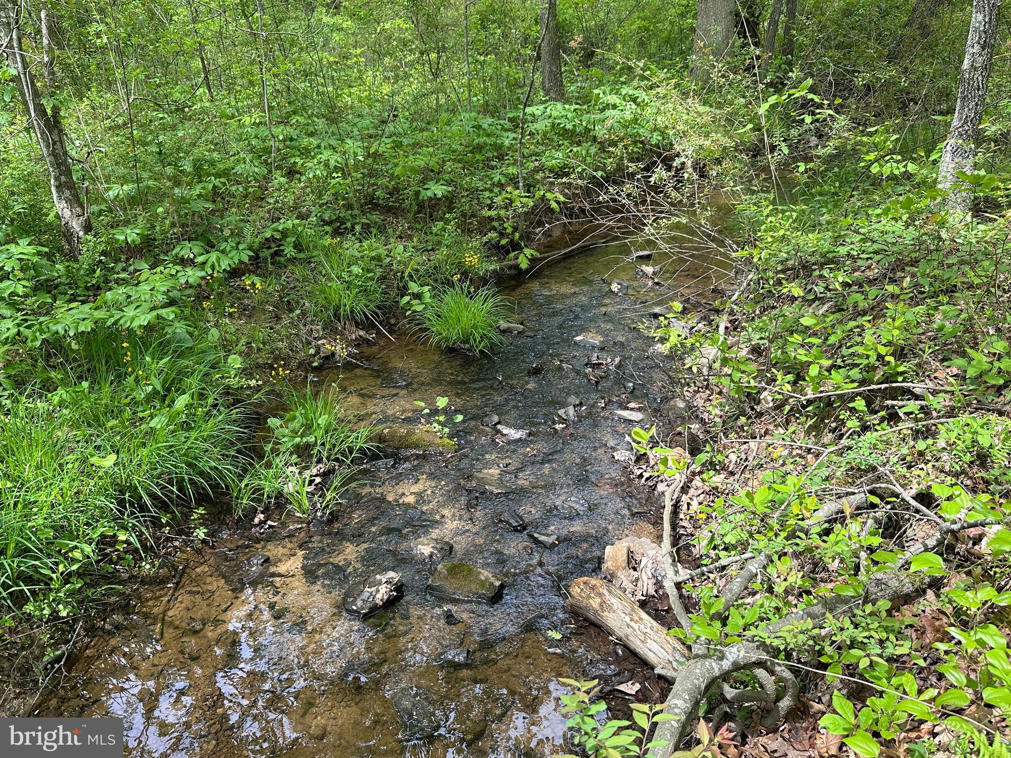 TIMBER TRAILS - Land