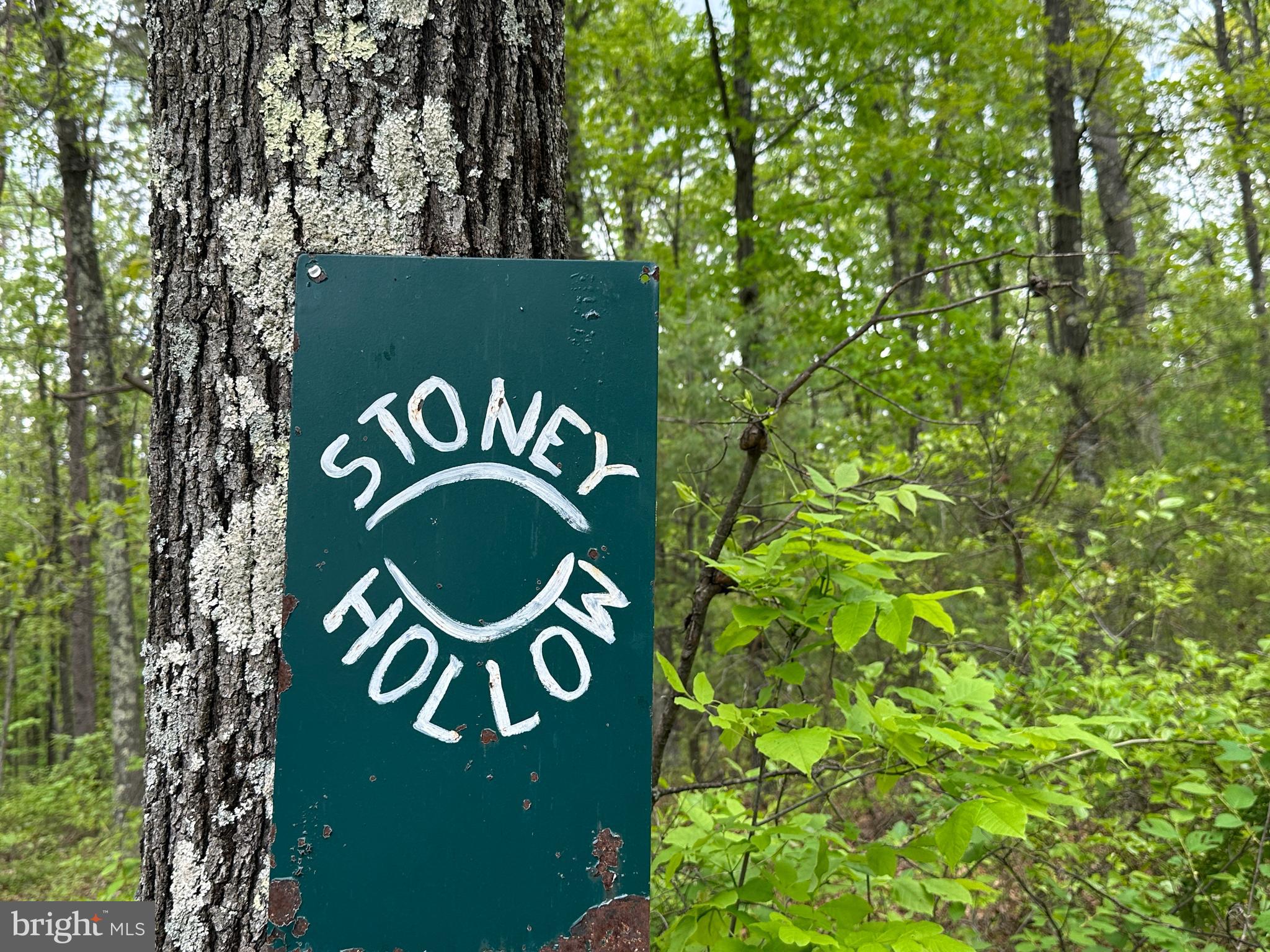 TIMBER TRAILS - Land