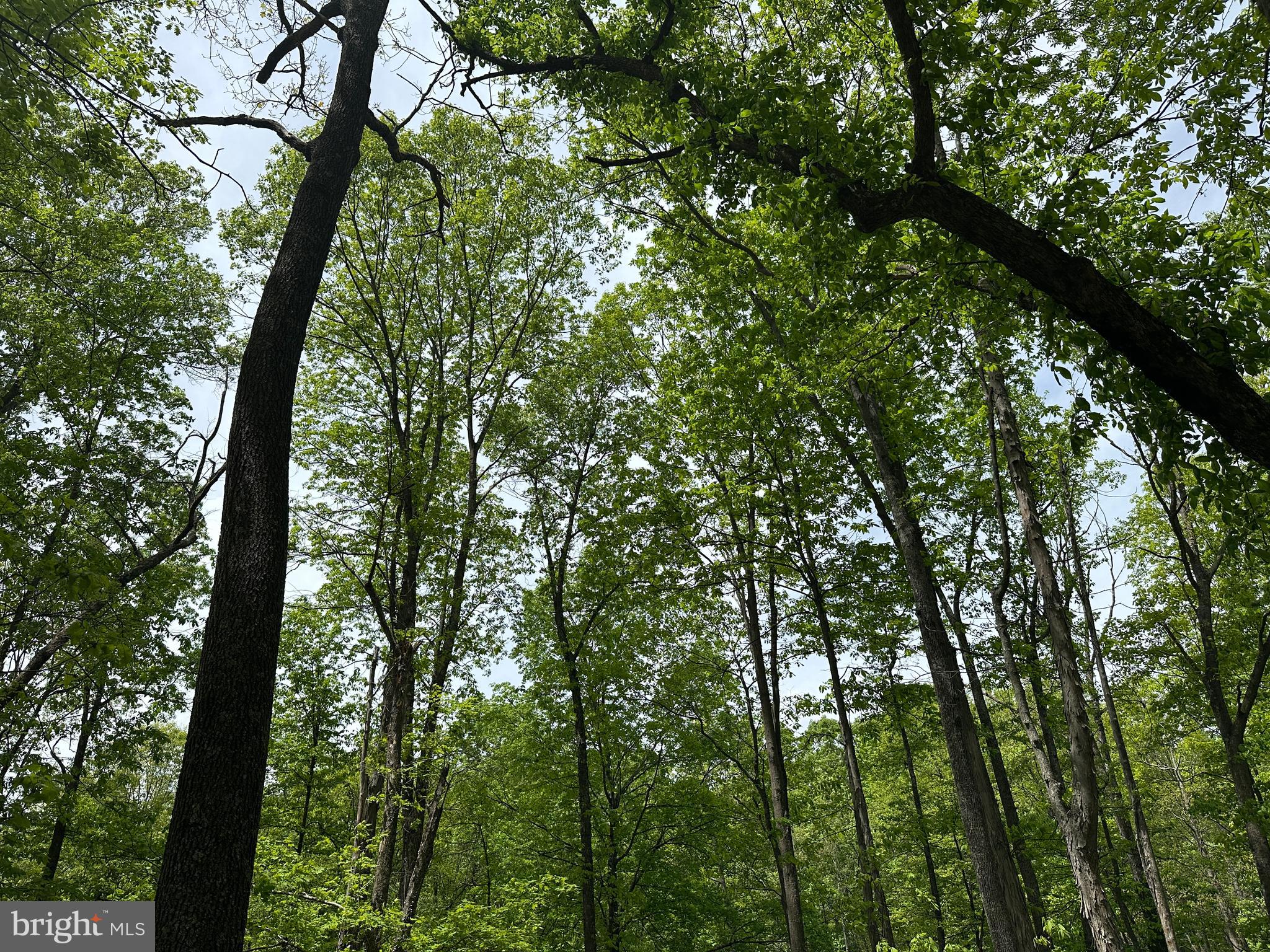 TIMBER TRAILS - Land