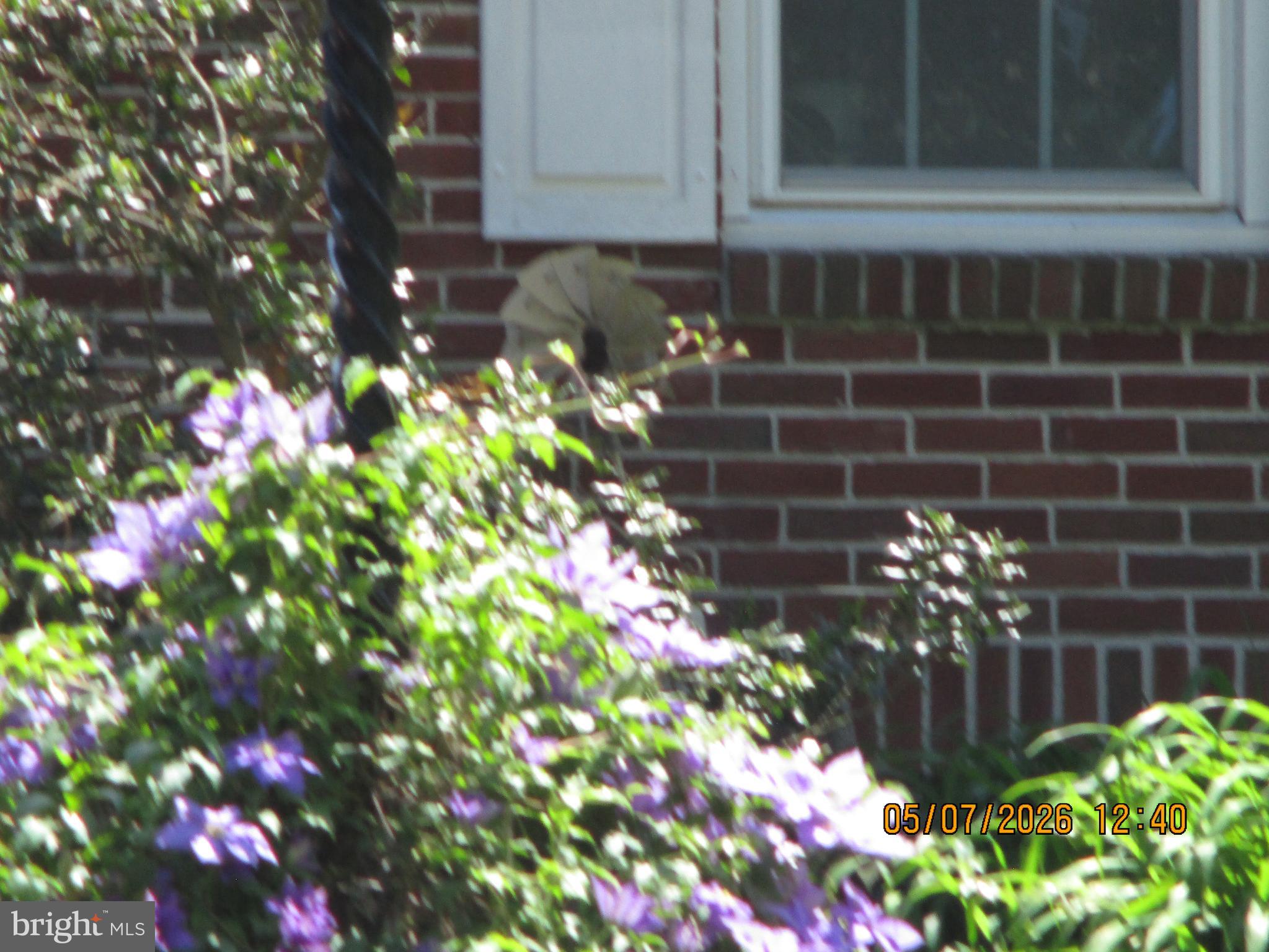 BANNISTER - Residential