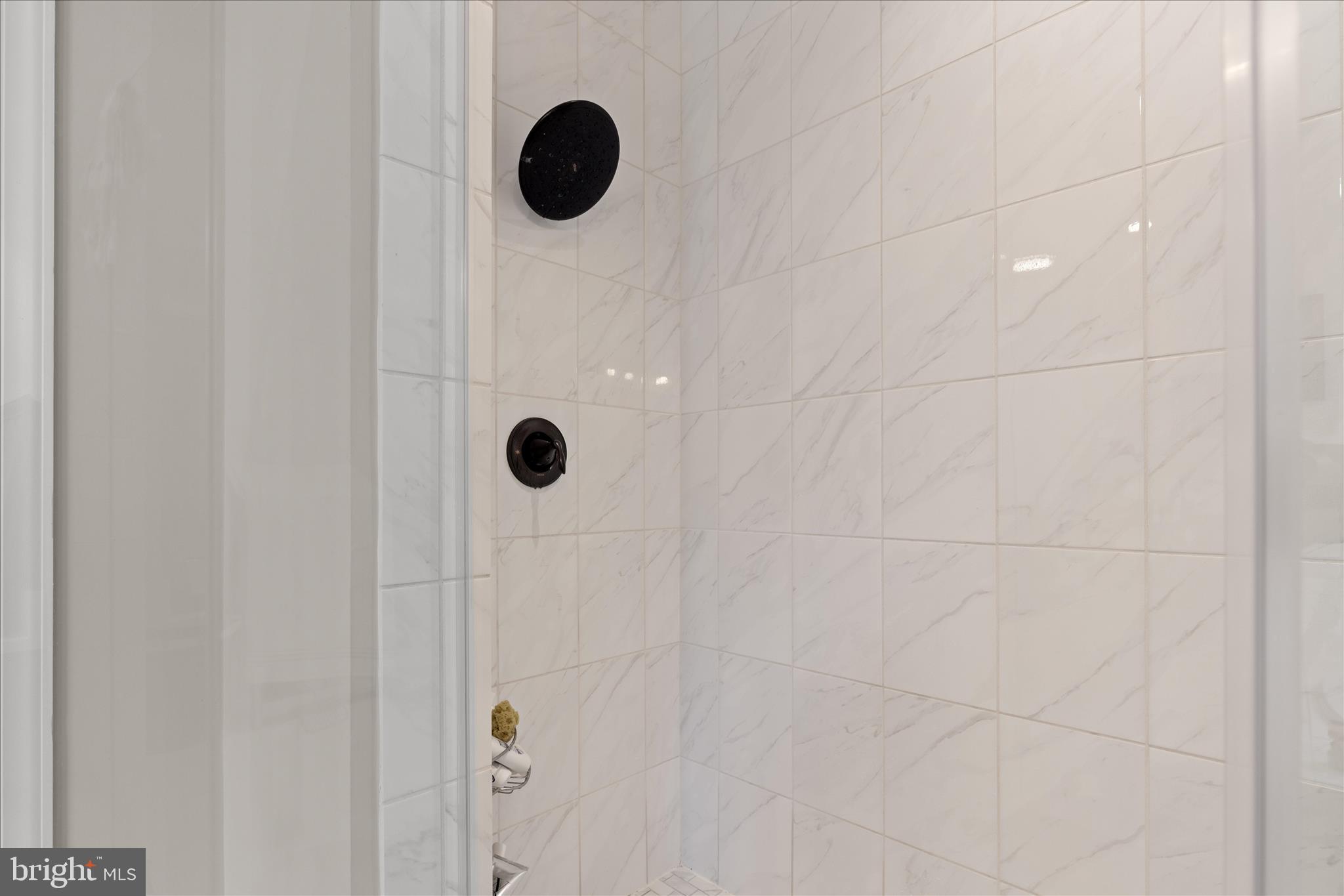 SHENANDOAH, LAKE FREDERICK - Residential