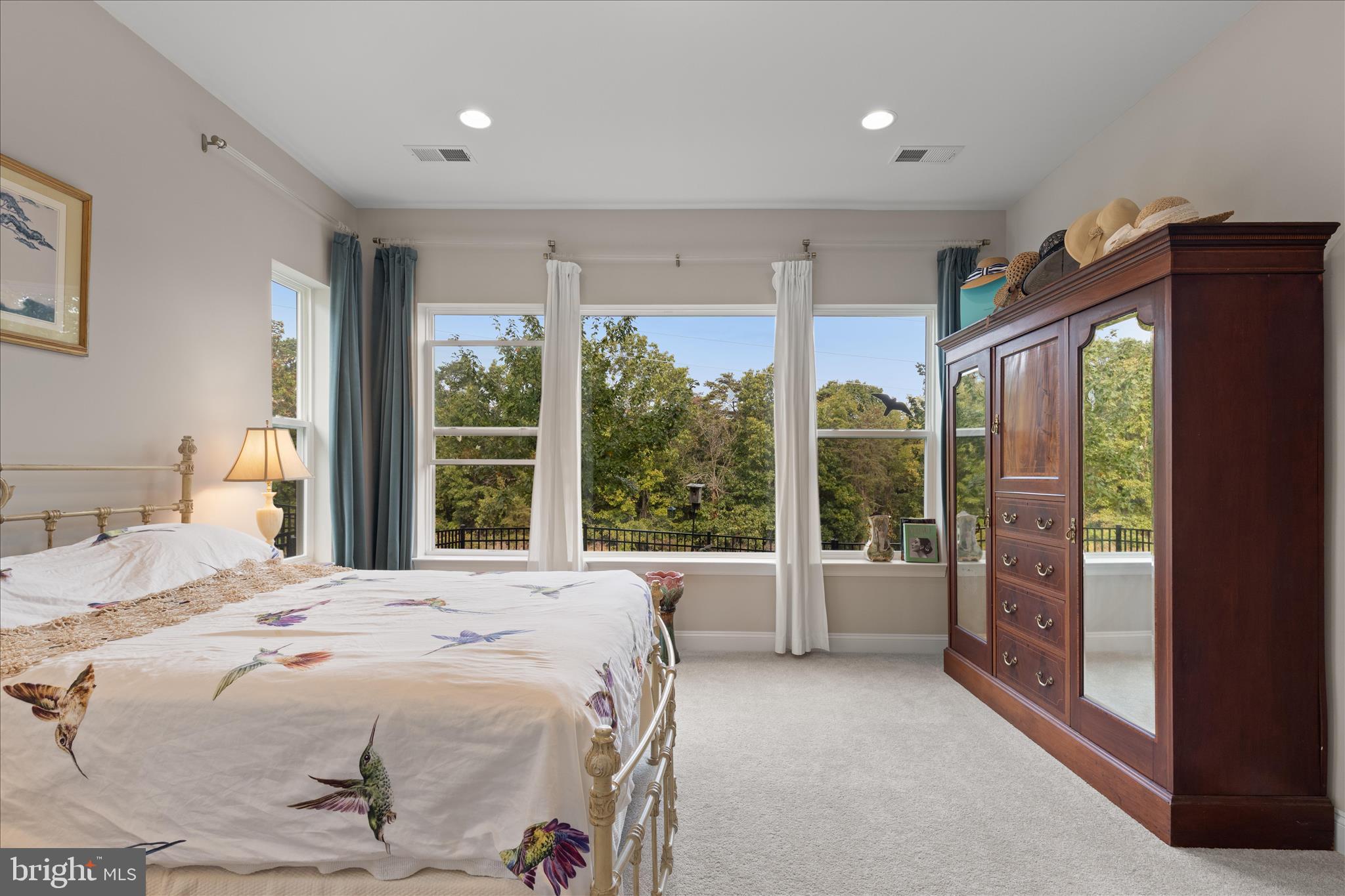 SHENANDOAH, LAKE FREDERICK - Residential