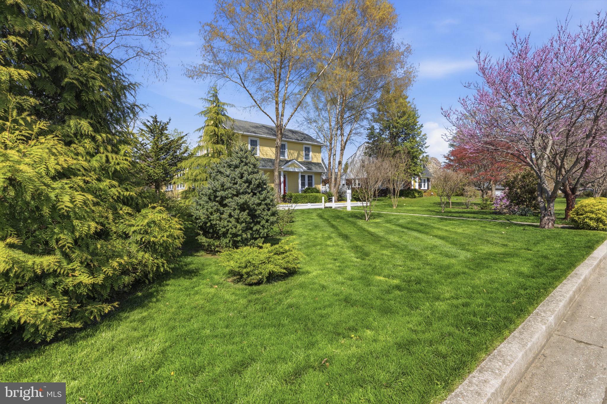 BLOOMSBURY PARK - Residential