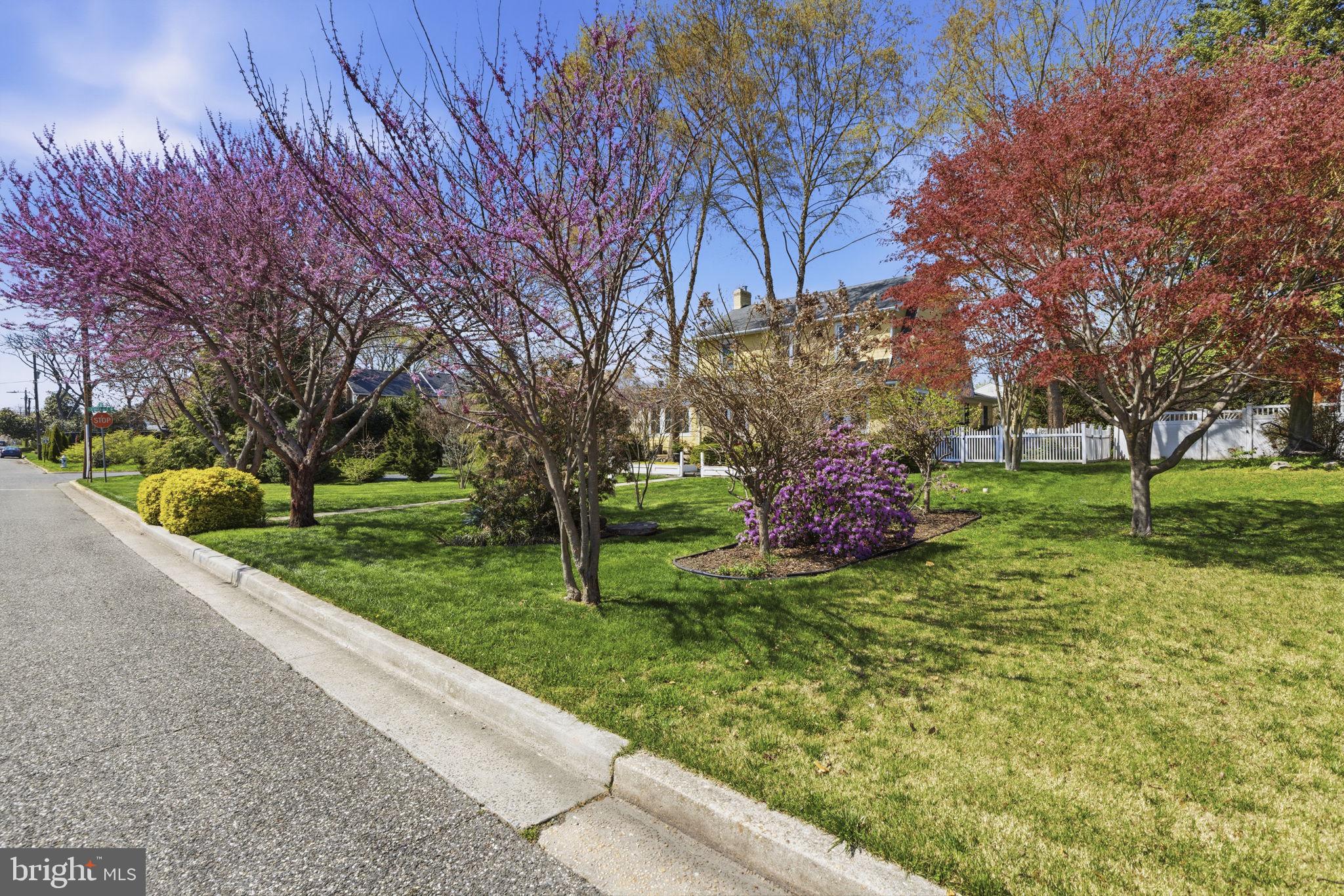 BLOOMSBURY PARK - Residential