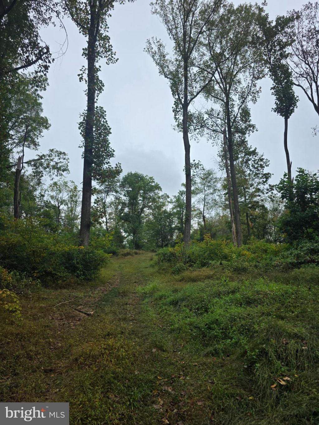 Photo of 0 E Of Mountain Trail Road, NEWMANSTOWN, PA 17073 (MLS # PALN2023156)