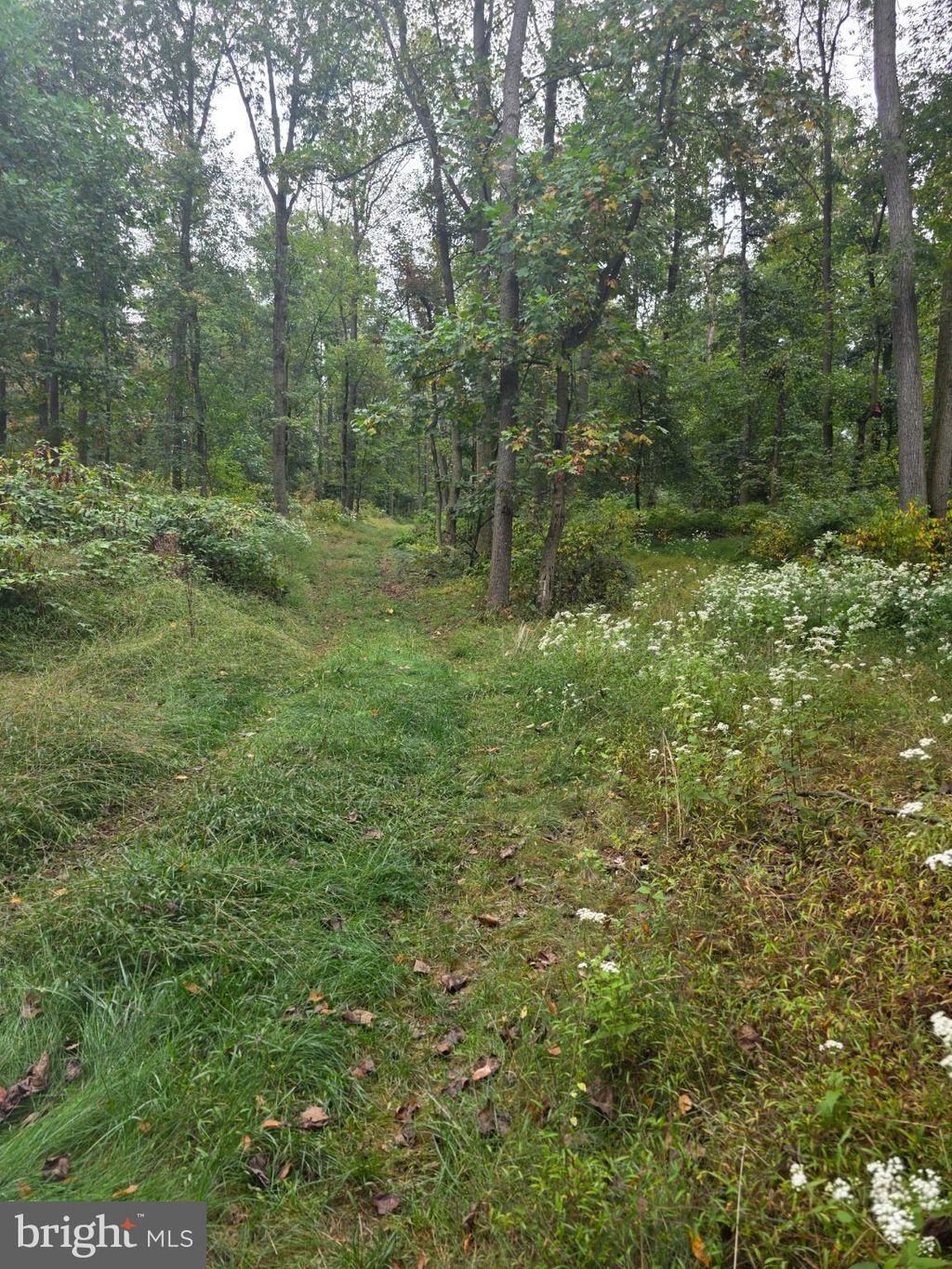 Photo of 0 E Of Mountain Trail Road, NEWMANSTOWN, PA 17073 (MLS # PALN2023156)