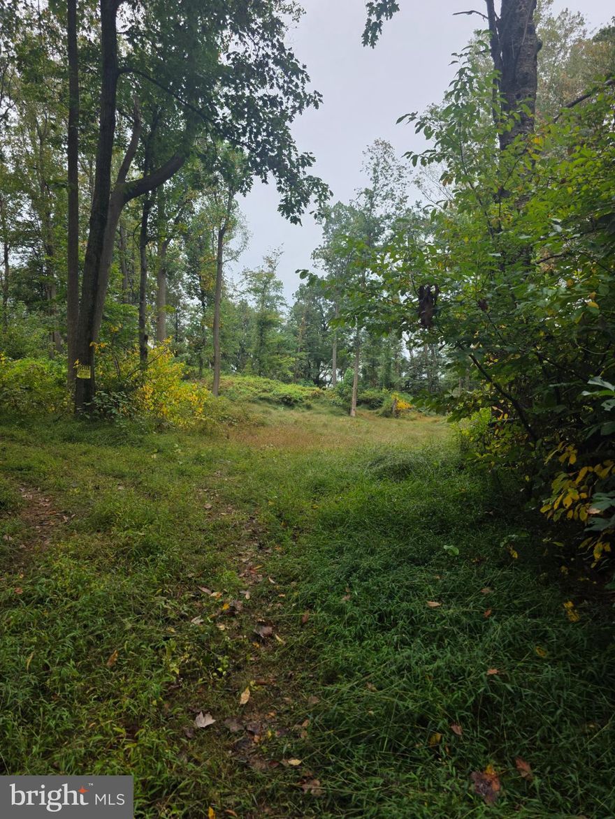 Discover a unique opportunity with this 7.5-acre land parcel, perfectly situated in a serene rural setting. This secluded lot offers a tranquil escape, surrounded by lush trees and wooded areas, providing a peaceful retreat from the hustle and bustle of city life. The sloping terrain adds character and potential for creative landscaping or building designs that harmonize with nature. Enjoy the privacy this landlocked property affords, making it an ideal canvas for your dream home. The natural beauty of the surroundings enhances the appeal, with picturesque views of the trees and woods that invite outdoor exploration and relaxation. Located in a rural area, this property is just a short drive from local amenities, ensuring convenience while maintaining a sense of seclusion. Embrace the opportunity to create your own sanctuary with your own builder in this idyllic setting, where nature and tranquility meet.